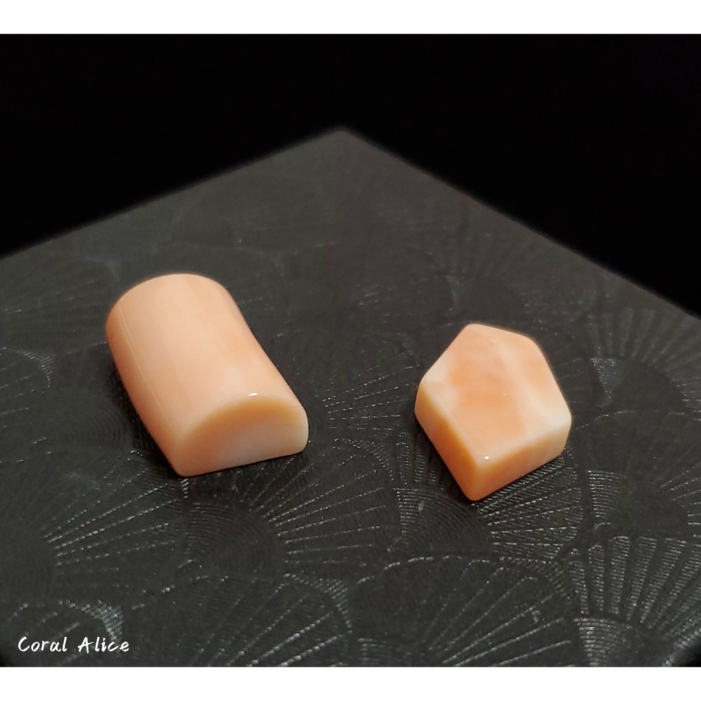 🌟Coral珊寶手作-天然中途島珊瑚造型裸石 CO2P1-193-細節圖2