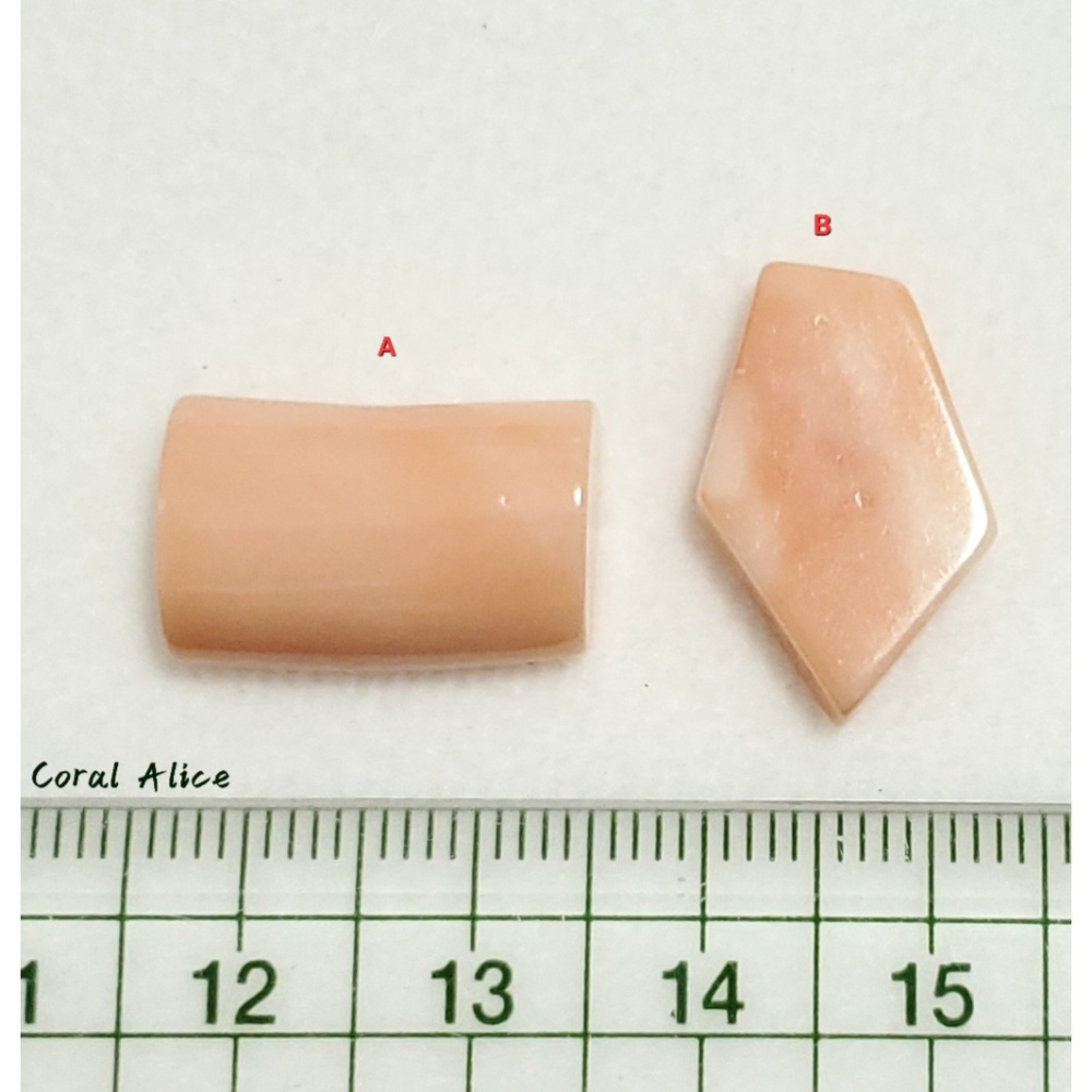 🌟Coral珊寶手作-天然中途島珊瑚造型裸石 CO2P1-193-細節圖11