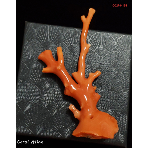 流】天然珊瑚 極太枝珊瑚 重量564g TT549