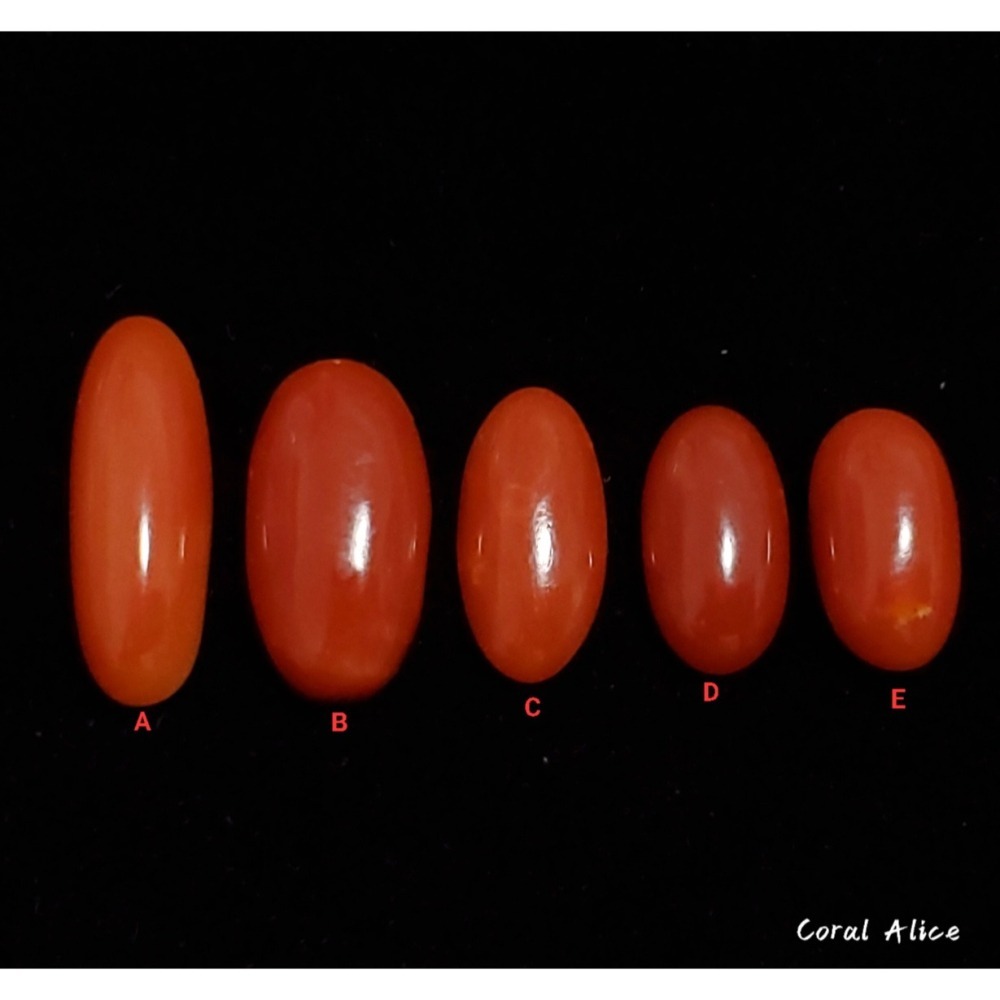 🌟Coral珊寶手作-天然阿卡珊瑚長蛋面小裸石 CO2P1-152-細節圖3