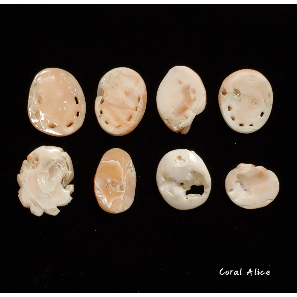 🌟Coral珊寶手作-天然深水珊瑚手工刻花件(無孔) CO2P1-130-細節圖7