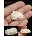 🌟Coral珊寶手作-天然白珊瑚/深水珊瑚手工刻花(無孔) CO2P1-124-規格圖10