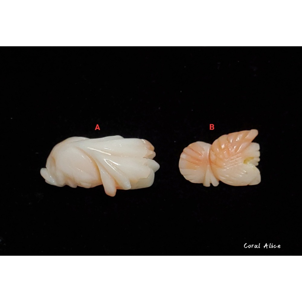 🌟Coral珊寶手作-天然深水珊瑚手工造型刻件 CO2P1-121-細節圖2