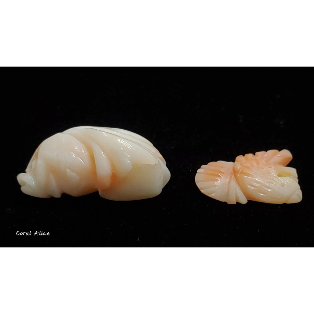 🌟Coral珊寶手作-天然深水珊瑚手工造型刻件 CO2P1-121-細節圖3
