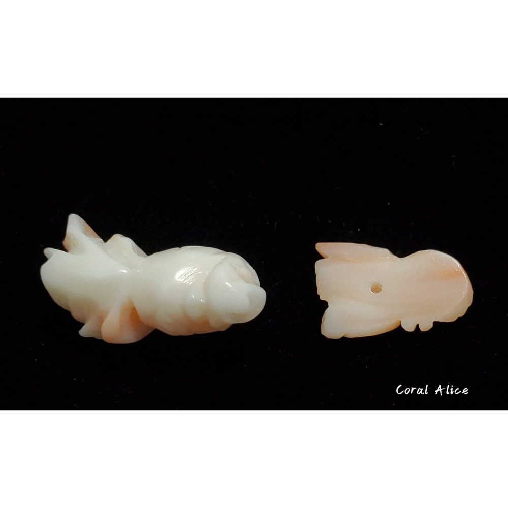 🌟Coral珊寶手作-天然深水珊瑚手工造型刻件 CO2P1-121-細節圖4