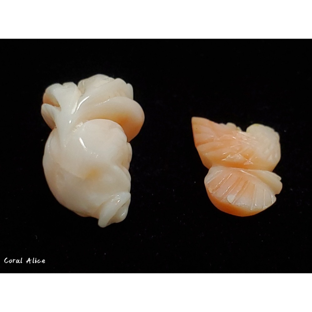 🌟Coral珊寶手作-天然深水珊瑚手工造型刻件 CO2P1-121-細節圖5