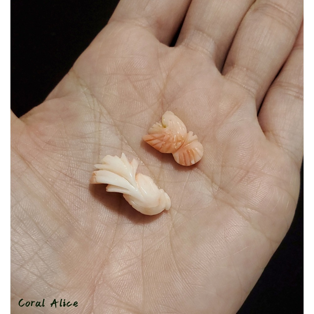 🌟Coral珊寶手作-天然深水珊瑚手工造型刻件 CO2P1-121-細節圖6