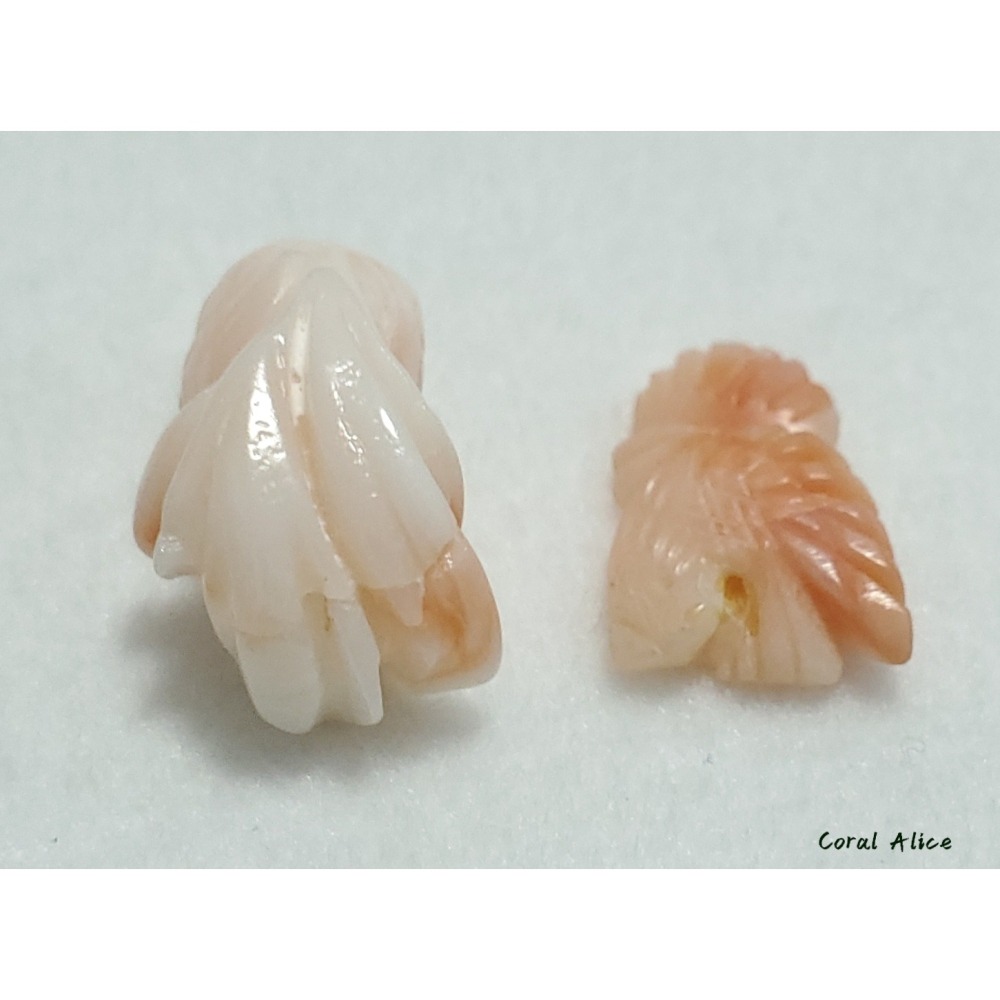 🌟Coral珊寶手作-天然深水珊瑚手工造型刻件 CO2P1-121-細節圖7