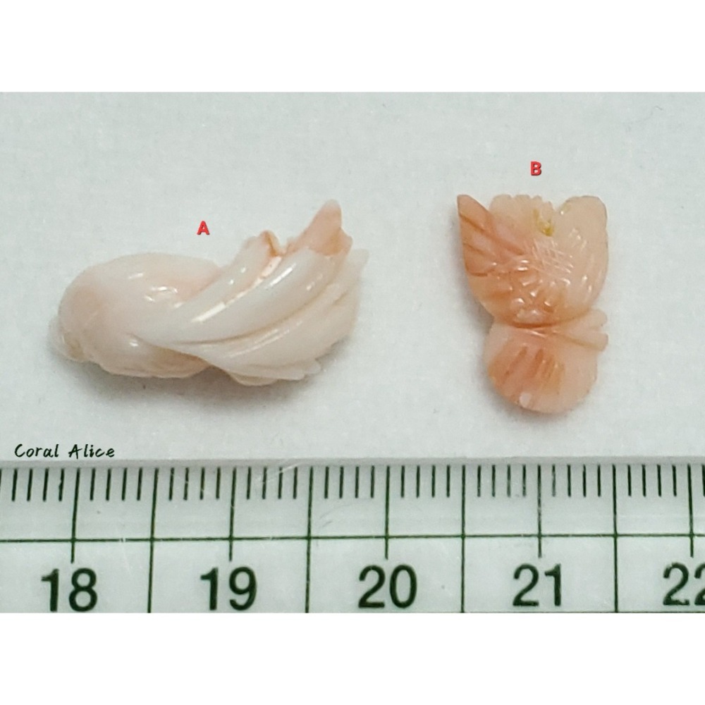 🌟Coral珊寶手作-天然深水珊瑚手工造型刻件 CO2P1-121-細節圖9
