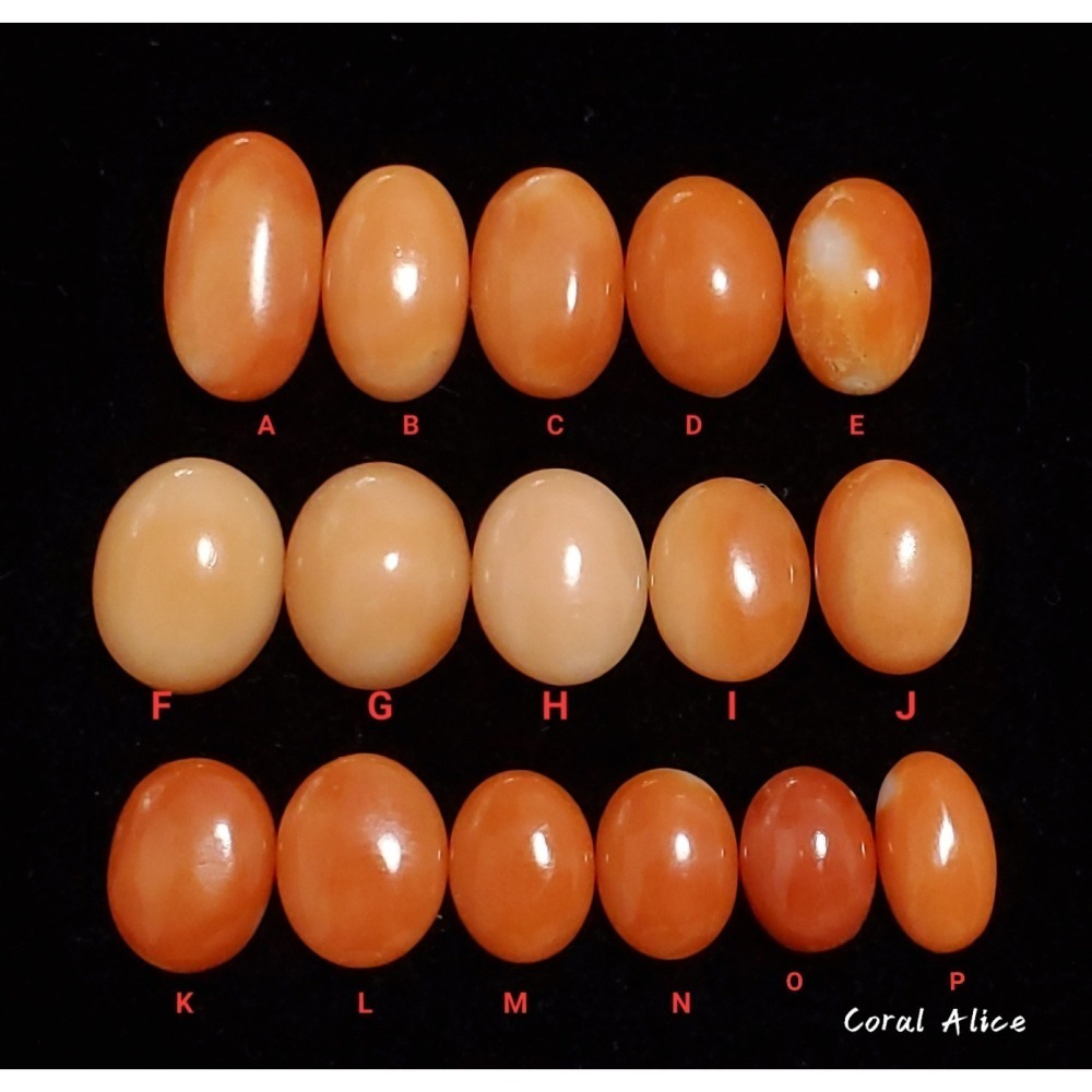 🌟Coral珊寶手作-天然阿卡珊瑚/MOMO珊瑚/深水珊瑚小蛋面裸石 CO2P1-120-細節圖2