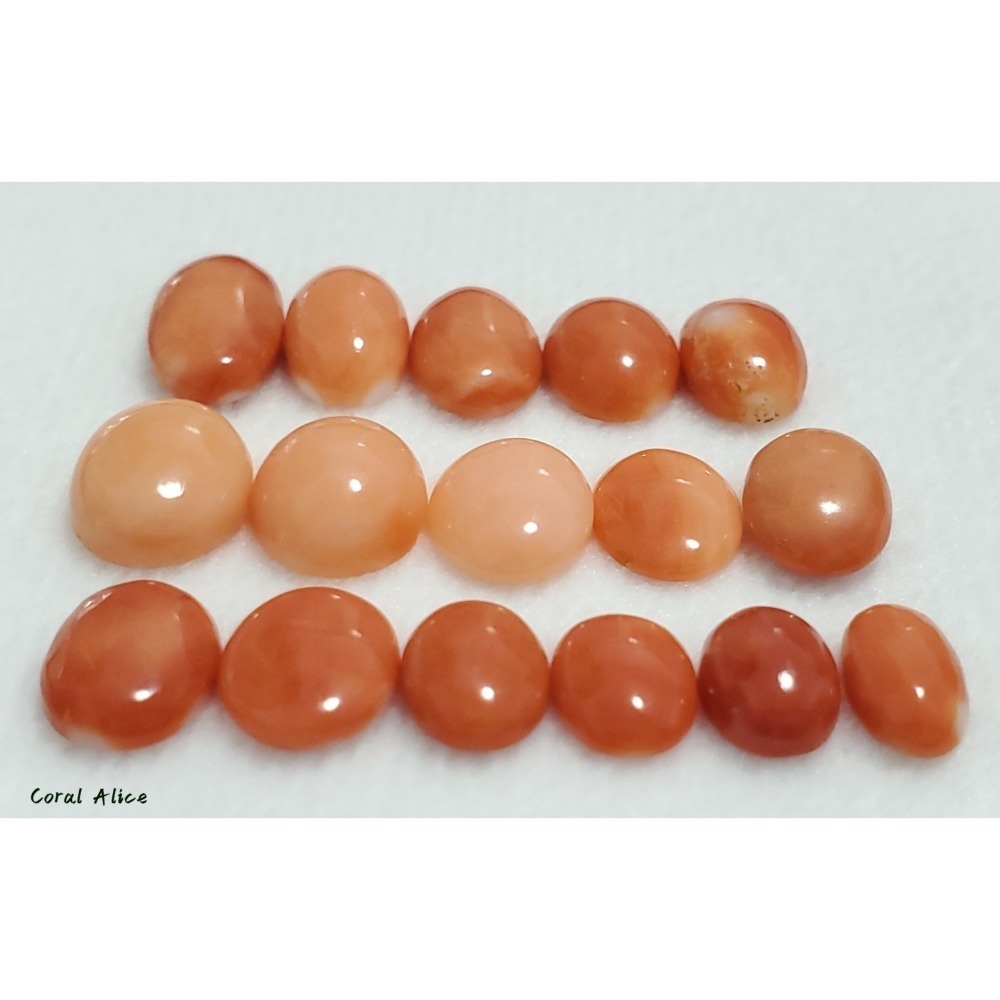 🌟Coral珊寶手作-天然阿卡珊瑚/MOMO珊瑚/深水珊瑚小蛋面裸石 CO2P1-120-細節圖8