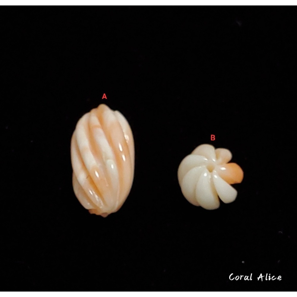 🌟Coral珊寶手作-天然深水珊瑚旋轉珠/南瓜珠(直通孔) CO2P1-100-細節圖2