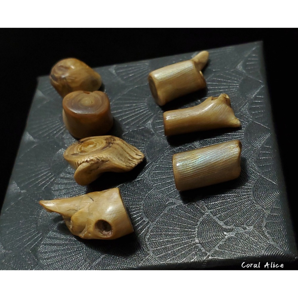 🌟Coral珊寶手作-天然夏威夷金珊瑚(無孔) CO2P1-088-細節圖2