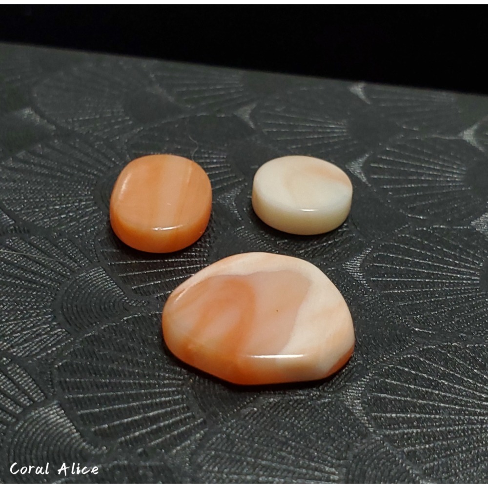 🌟Coral珊寶手作-天然深水珊瑚/白珊瑚片 CO2P1-082-細節圖2