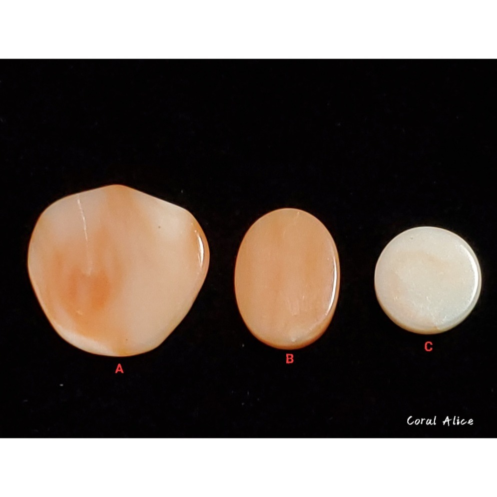 🌟Coral珊寶手作-天然深水珊瑚/白珊瑚片 CO2P1-082-細節圖4