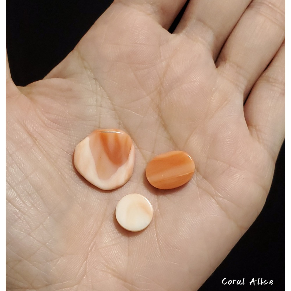 🌟Coral珊寶手作-天然深水珊瑚/白珊瑚片 CO2P1-082-細節圖6