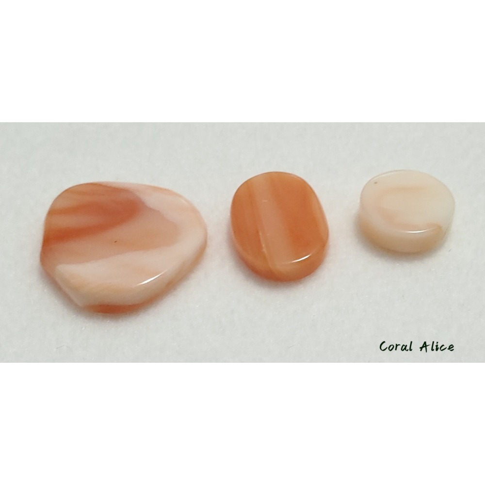 🌟Coral珊寶手作-天然深水珊瑚/白珊瑚片 CO2P1-082-細節圖8