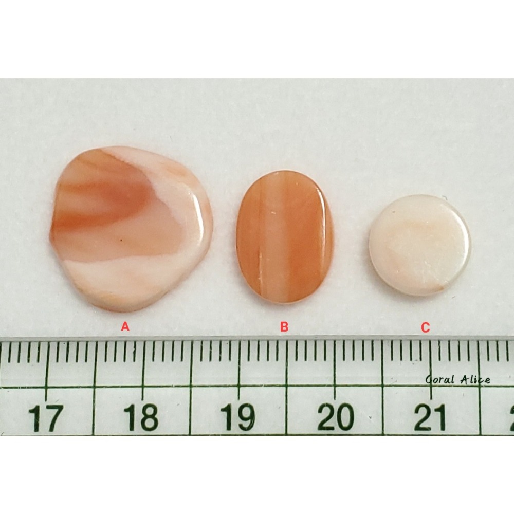 🌟Coral珊寶手作-天然深水珊瑚/白珊瑚片 CO2P1-082-細節圖10