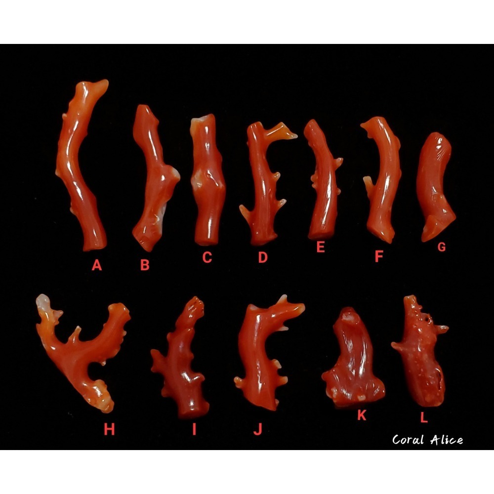 🌟Coral珊寶手作-天然阿卡珊瑚自然枝小段 18.6-33.4mm CO2P1-077-細節圖3