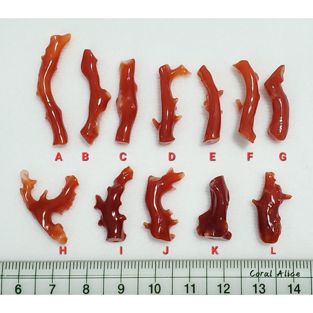 🌟Coral珊寶手作-天然阿卡珊瑚自然枝小段 18.6-33.4mm CO2P1-077-細節圖11
