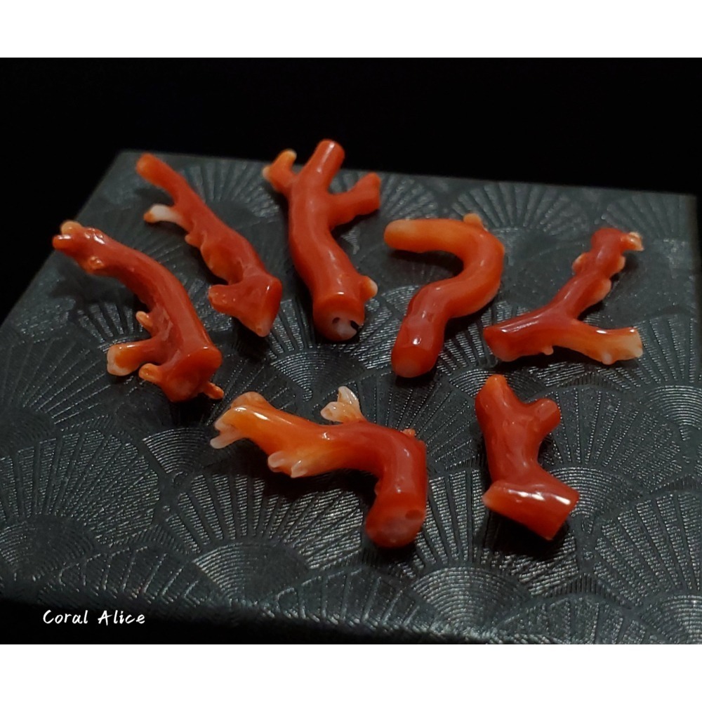 🌟Coral珊寶手作-天然阿卡珊瑚自然枝 20.3-42.4mm CO2P1-076-細節圖2