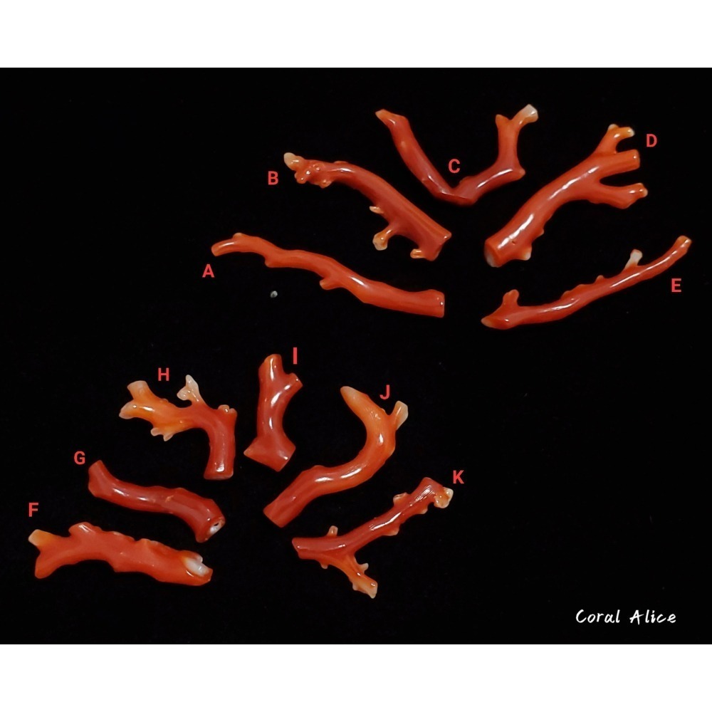 🌟Coral珊寶手作-天然阿卡珊瑚自然枝 20.3-42.4mm CO2P1-076-細節圖3