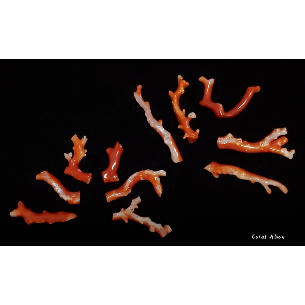 🌟Coral珊寶手作-天然阿卡珊瑚自然枝 20.3-42.4mm CO2P1-076-細節圖4