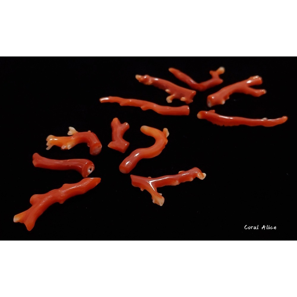 🌟Coral珊寶手作-天然阿卡珊瑚自然枝 20.3-42.4mm CO2P1-076-細節圖5