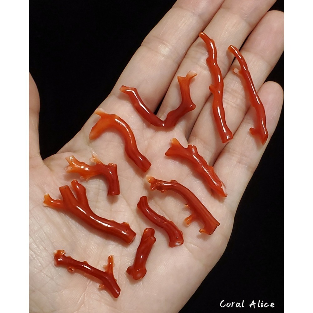 🌟Coral珊寶手作-天然阿卡珊瑚自然枝 20.3-42.4mm CO2P1-076-細節圖6