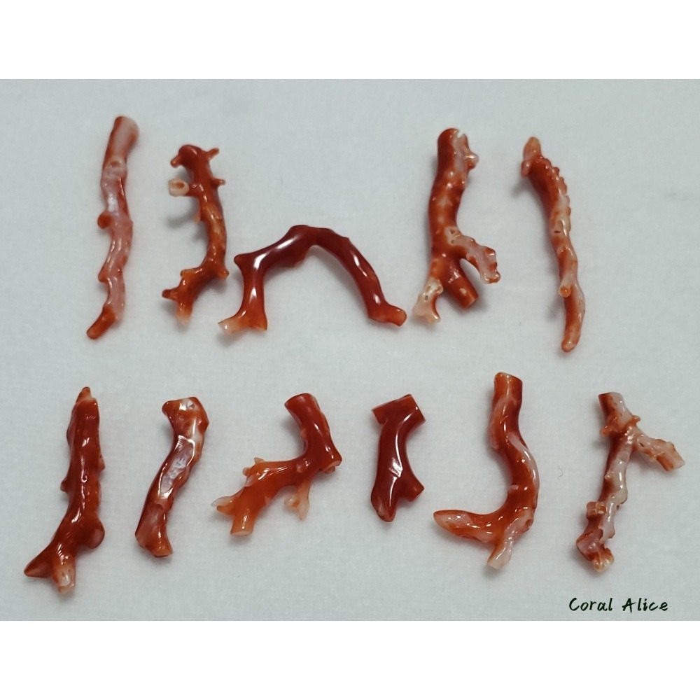 🌟Coral珊寶手作-天然阿卡珊瑚自然枝 20.3-42.4mm CO2P1-076-細節圖8