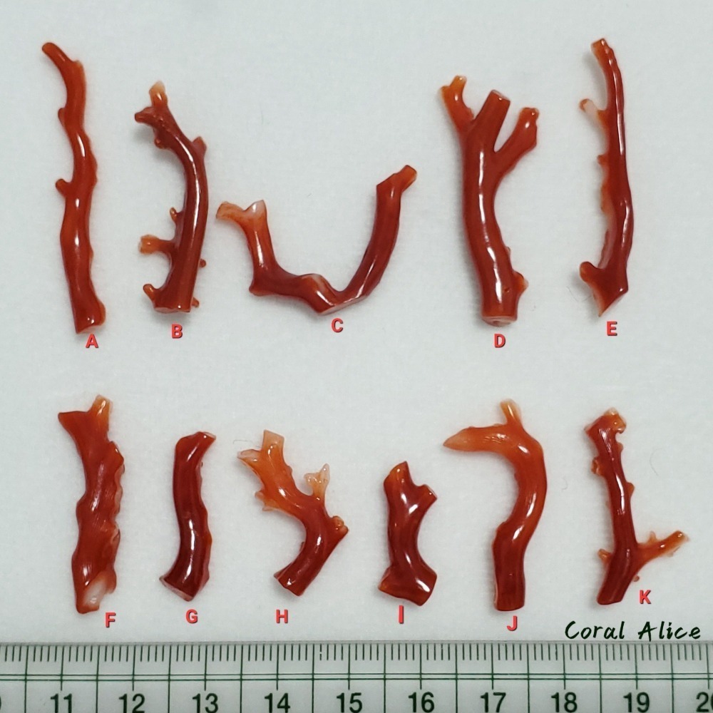 🌟Coral珊寶手作-天然阿卡珊瑚自然枝 20.3-42.4mm CO2P1-076-細節圖9