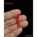 🌟Coral珊寶手作-天然阿卡珊瑚自然枝 20.3-42.4mm CO2P1-076-規格圖9