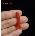 🌟Coral珊寶手作-天然阿卡珊瑚自然枝 20.3-42.4mm CO2P1-076-規格圖9