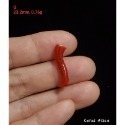 🌟Coral珊寶手作-天然阿卡珊瑚自然枝 20.3-42.4mm CO2P1-076-規格圖9