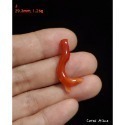 🌟Coral珊寶手作-天然阿卡珊瑚自然枝 20.3-42.4mm CO2P1-076-規格圖9