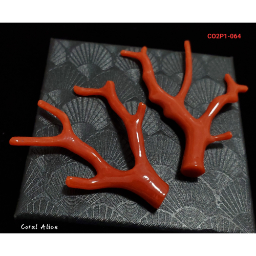 🌟Coral珊寶手作-天然沙丁紅珊瑚自然枝(無孔) CO2P1-064