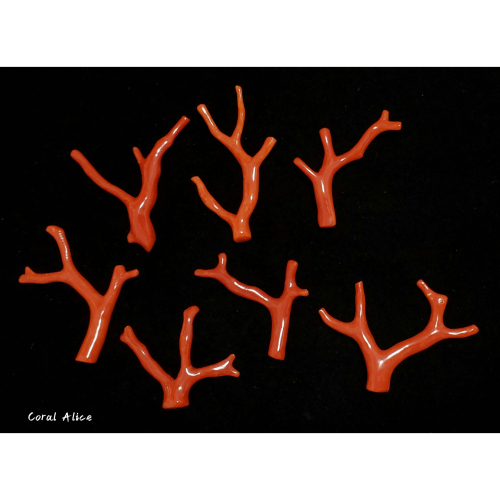 🌟Coral珊寶手作-天然沙丁紅珊瑚自然枝 35.9-51.0mm CO2P1-054