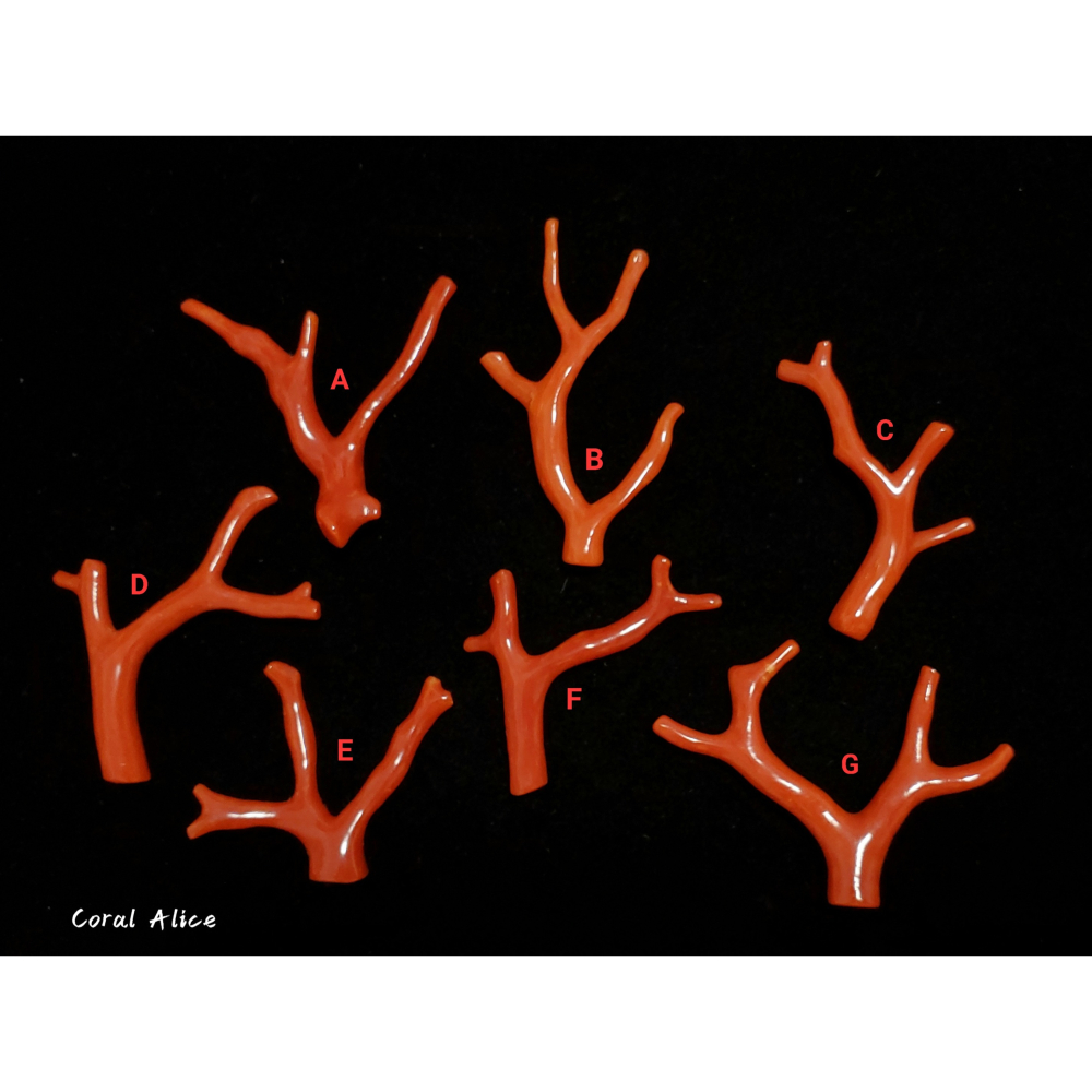 🌟Coral珊寶手作-天然沙丁紅珊瑚自然枝 35.9-51.0mm CO2P1-054-細節圖2