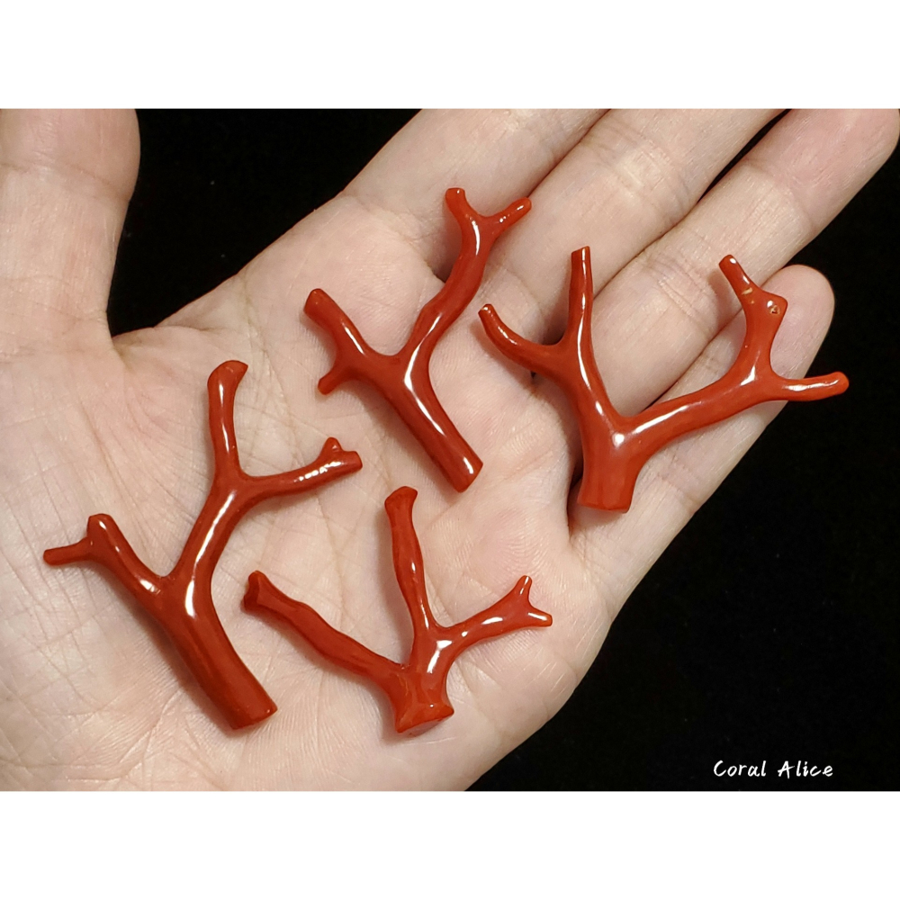 🌟Coral珊寶手作-天然沙丁紅珊瑚自然枝 35.9-51.0mm CO2P1-054-細節圖5