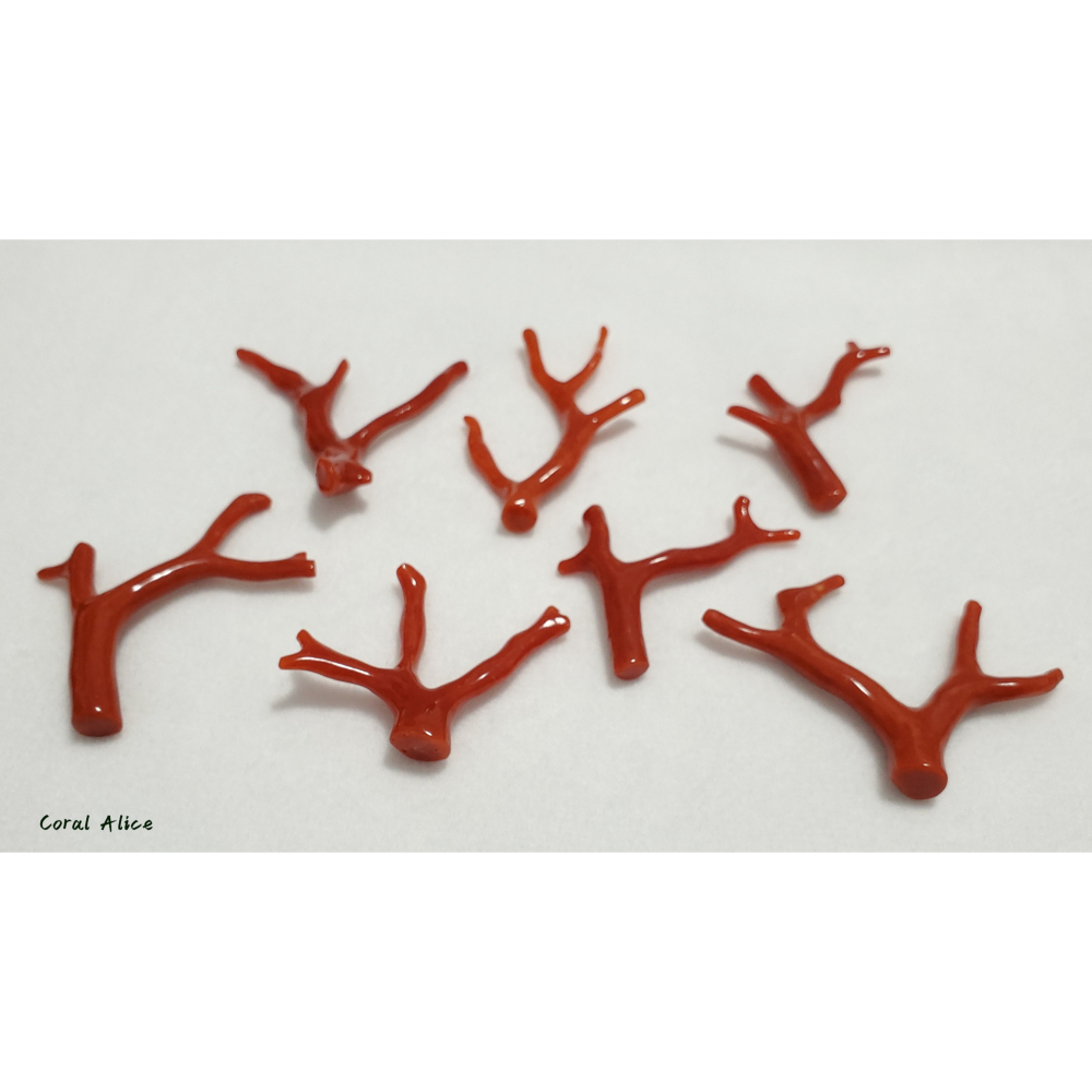 🌟Coral珊寶手作-天然沙丁紅珊瑚自然枝 35.9-51.0mm CO2P1-054-細節圖9