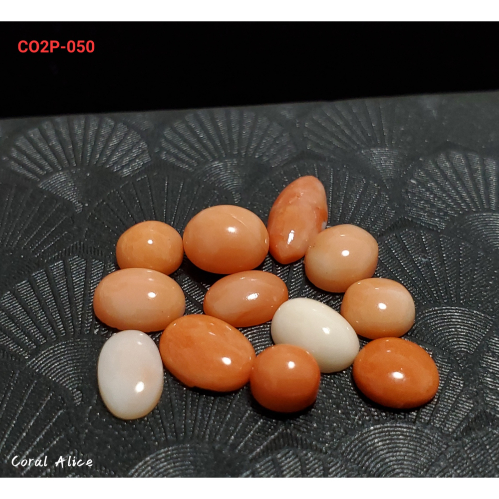 🌟Coral珊寶手作-天然珊瑚造型裸石(深水/淺水/momo/白珊瑚) CO2P1-050