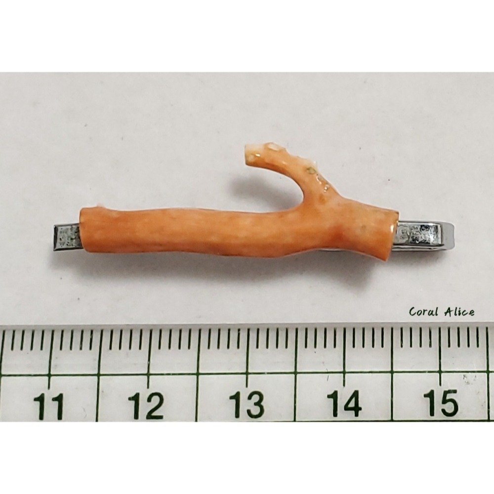 🌟Coral珊寶手作-天然momo珊瑚不鏽鋼夾 CO2P1-043-細節圖9