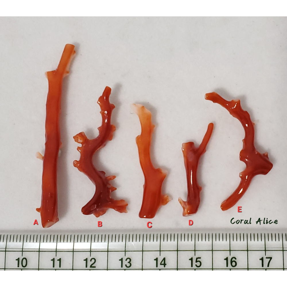 🌟Coral珊寶手作-天然阿卡珊瑚自然枝(無孔) CO2P1-004-細節圖9