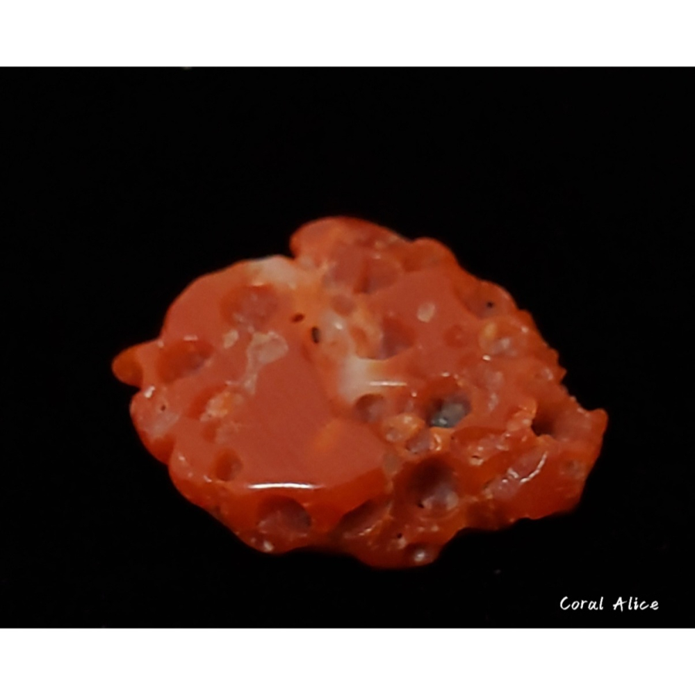 🌟Coral珊寶手作-天然阿卡珊瑚塊(帶蟲體) 19.4*15.1*5.2mm CO2P1-001-細節圖4