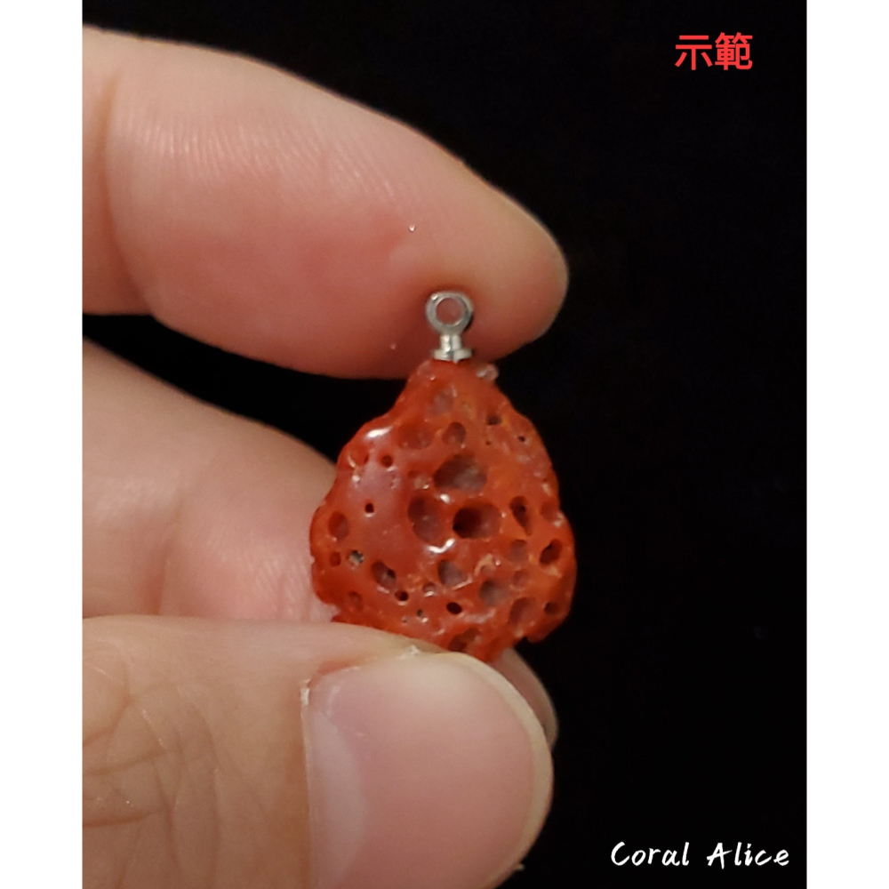 🌟Coral珊寶手作-天然阿卡珊瑚塊(帶蟲體) 19.4*15.1*5.2mm CO2P1-001-細節圖7