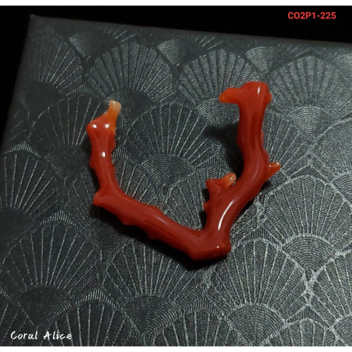 🌟Coral珊寶手作-天然阿卡珊瑚/紅珊瑚自然枝 33.7mm CO2P1-225