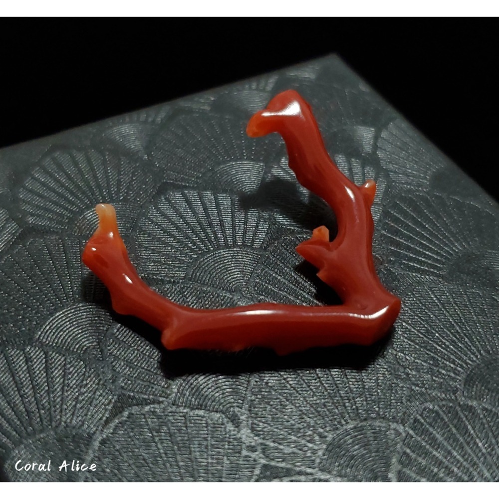 🌟Coral珊寶手作-天然阿卡珊瑚/紅珊瑚自然枝 33.7mm CO2P1-225-細節圖2