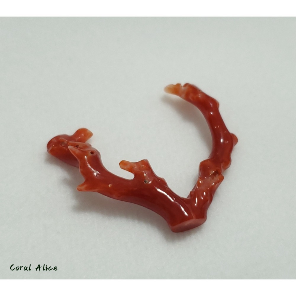🌟Coral珊寶手作-天然阿卡珊瑚/紅珊瑚自然枝 33.7mm CO2P1-225-細節圖9