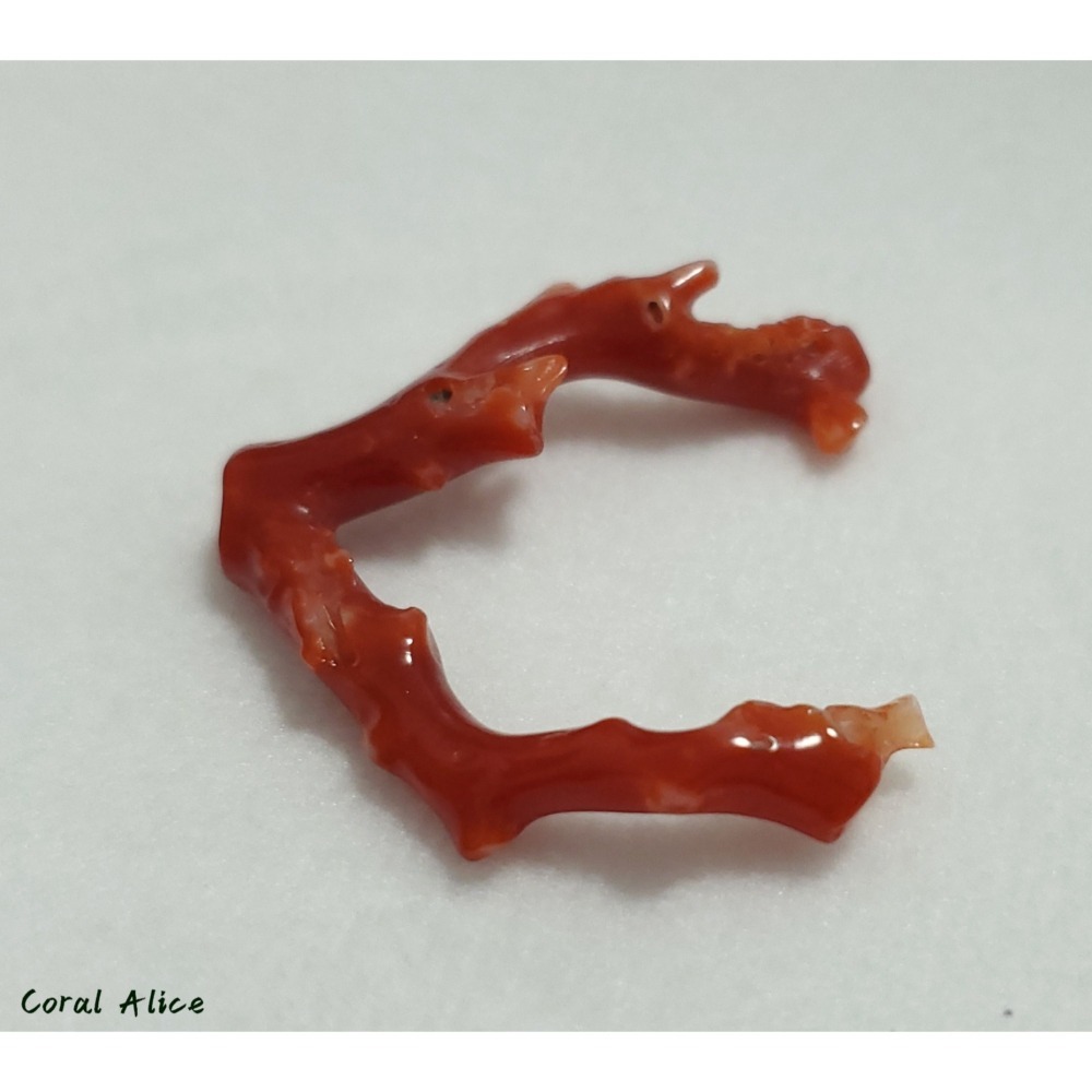 🌟Coral珊寶手作-天然阿卡珊瑚/紅珊瑚自然枝 33.7mm CO2P1-225-細節圖10