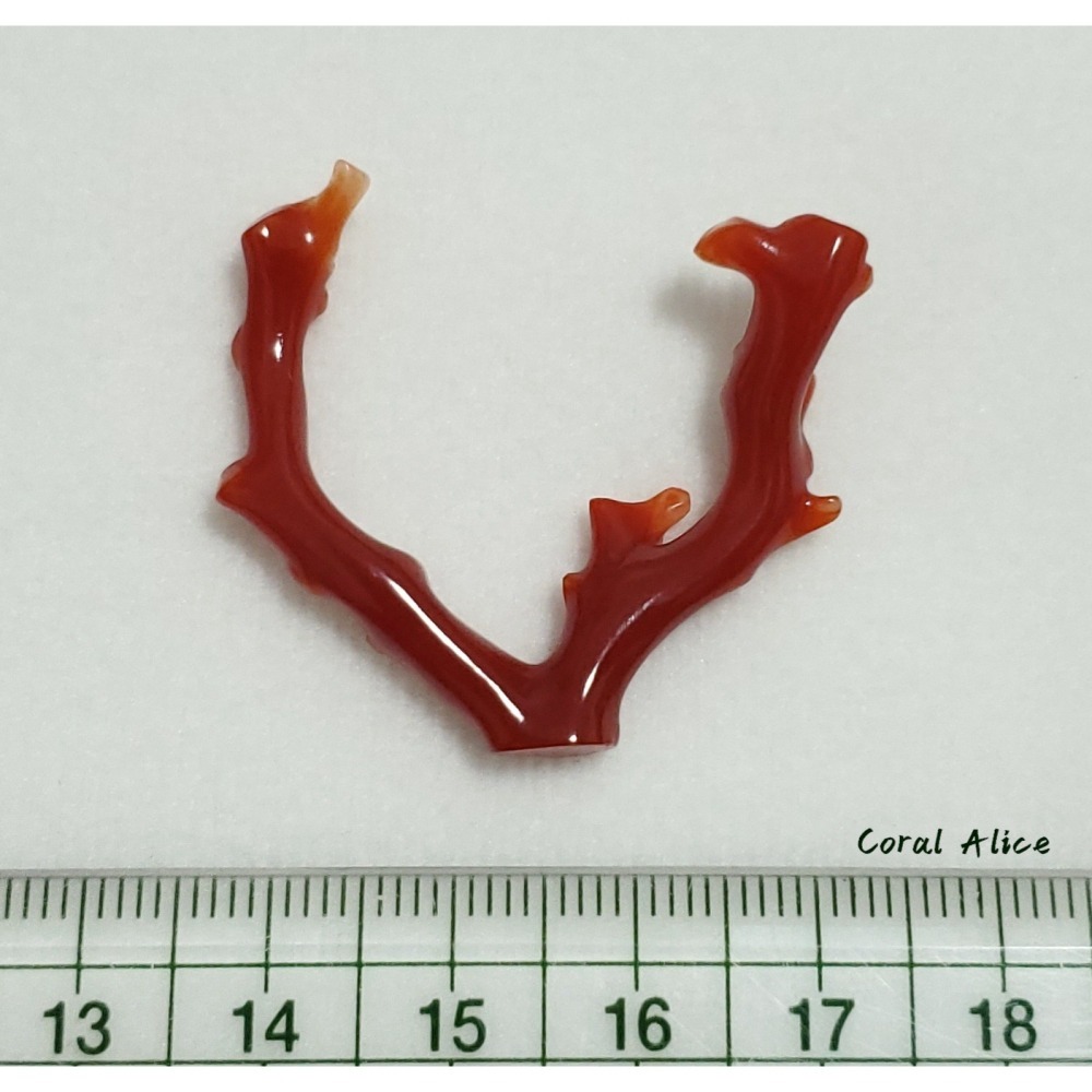 🌟Coral珊寶手作-天然阿卡珊瑚/紅珊瑚自然枝 33.7mm CO2P1-225-細節圖11